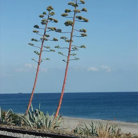 Eugenia Ardore Marina